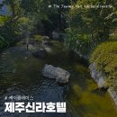 중문통나무가족호텔 | 중문 제주신라호텔 인피니티풀 풀사이드바 호캉스 내돈내산 후기