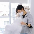 오드리펫 이미지