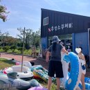 추암다이브랜드 | 동해 삼척 추암해수욕장 파라솔 평상 튜브 대여 꿀팁 +해파리 출몰 이슈