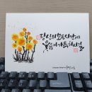 수채캘리그라피 이미지