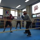 순천 엘리트복싱 이미지