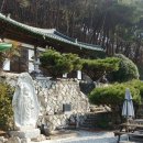 건지산(장덕사) Daum카페