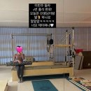 그레이스바디