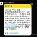 (주)항공실업 | 2026 ep.3-2 | 꽃이 피네요, 봄이 시작되었다는 증거겠죠. (김해 용당나루 매화공원, 파사드패턴 레더...