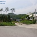 평송단월주유소 이미지