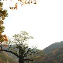 귀교 네이버블로그