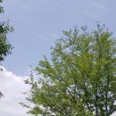 스테이 서종 이미지