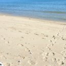 후포앤스테이 이미지