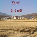 청백부동산공인중개사사무소 이미지