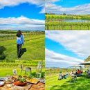 (주)위더스파크밸리레스토랑 | 멜버른 근교 당일 투어 ② 야라밸리 추천 와이너리 야라우드 점심, 초콜릿 공장