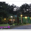 성주허스키켄넬 이미지