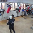 화랑 (권투) 이미지