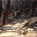 일MTB 이미지