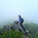 화순(안양산~만연산)23.5.6 이미지