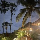 왕궁가든 | -발리- 우붓 왕궁시내 <삼히타 가든> 프라이빗 풀빌라 후기