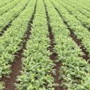 난산리마을회관 이미지