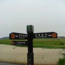 이태백야영장 이미지