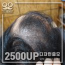 스타일아라