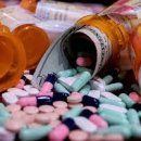 현대팔팔 이미지