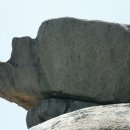 비봉여자 이미지