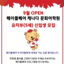 메이플베어캐나다문화어학원