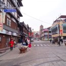 차이나타운 이미지