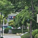 금대리집 이미지