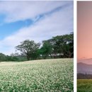 웰컴투제주