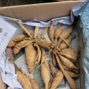 행주농장 이미지