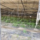 미소농장 이미지