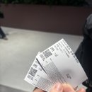 코스몰링크 | 잠실 롯데월드몰 아이스링크 후기 | 데이트 코스로 딱 좋은 실내 스케이트장