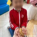 동신초등학교 병설유치원 이미지