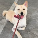 태봉농장1 이미지