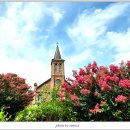 칠곡 왜관성당 이미지