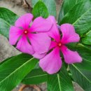 너 나 그리고 우리 이미지