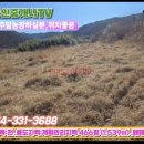 영천남부공인중개사사무소 네이버블로그