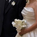 희수네축사 | 더컨벤션 송파문정 아모르홀 아이폰스냅 (히니스냅 후기)