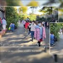 솔밭왓앤와이 영재유치원 이미지