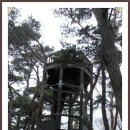 봉명산 군립공원과 천년의 고찰 다솔사 후기및 사진 이미지
