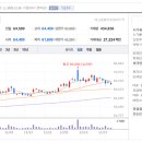 이에스바이오 이미지