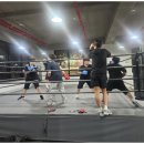 동탄센트럴복싱짐 이미지