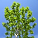 성모부부내과의원 이미지