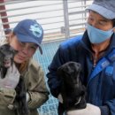 혜진축사 이미지