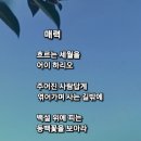 도서출판 팔공