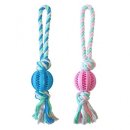 덴탈투유 이미지