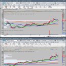 ◈ 7월29일 매집 종목 List 이미지