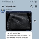 해랑동물병원 네이버블로그