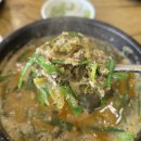 고양시 맛집 부모님 모시고 가기 좋은 원당골추어탕
