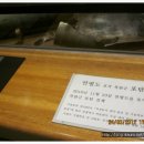 제주평화박물관 이미지