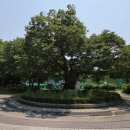 모롱지공원 이미지